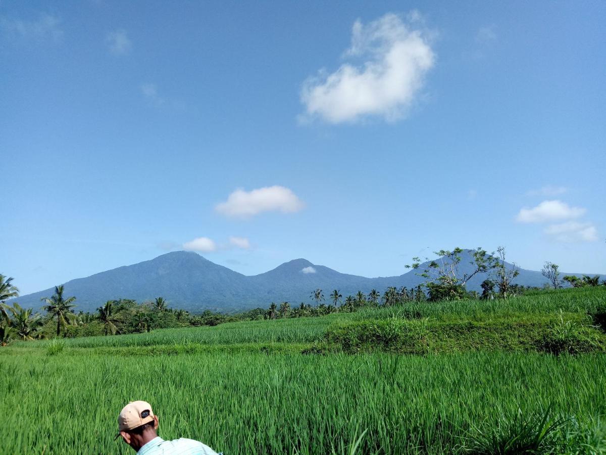 Babahan Farmstay Табанан Экстерьер фото