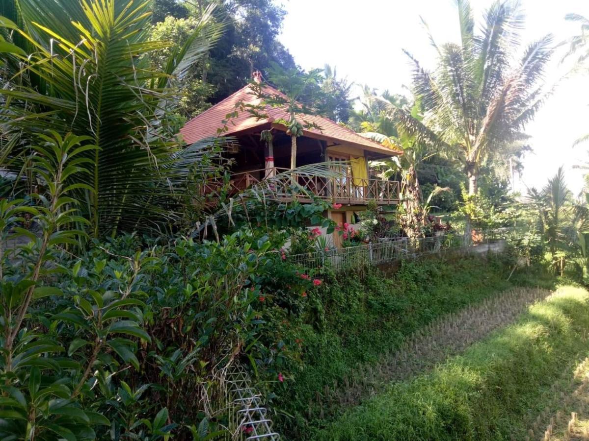Babahan Farmstay Табанан Экстерьер фото
