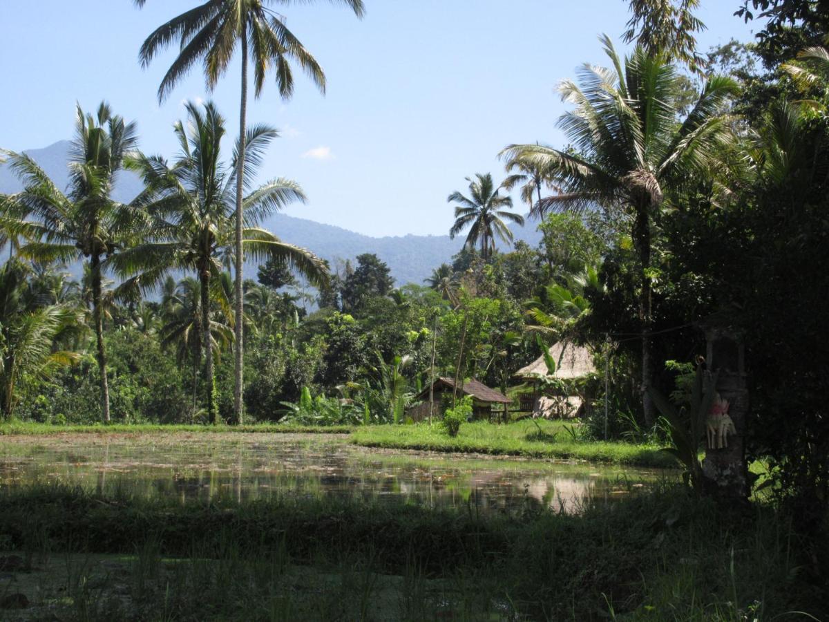Babahan Farmstay Табанан Экстерьер фото